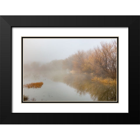 Trees on foggy morning-Bosque del Apache National Wildlife Refuge-New Mexico Black Modern Wood Framed Art Print with Double Matting by Jones, Adam