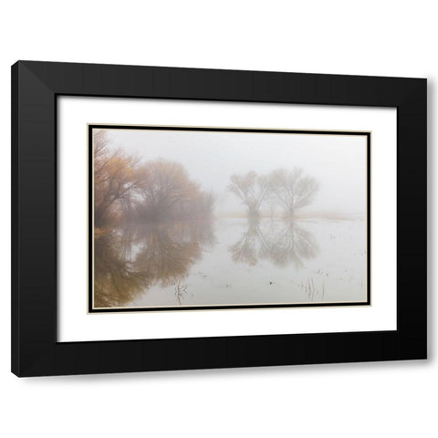 Trees on foggy morning-Bosque del Apache National Wildlife Refuge-New Mexico Black Modern Wood Framed Art Print with Double Matting by Jones, Adam
