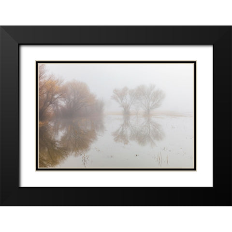 Trees on foggy morning-Bosque del Apache National Wildlife Refuge-New Mexico Black Modern Wood Framed Art Print with Double Matting by Jones, Adam