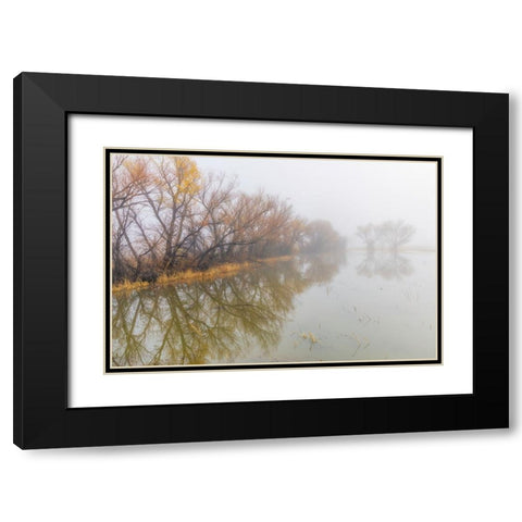 Trees on foggy morning-Bosque del Apache National Wildlife Refuge-New Mexico Black Modern Wood Framed Art Print with Double Matting by Jones, Adam