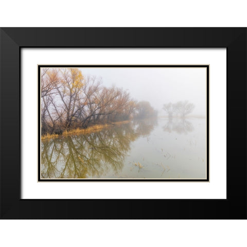 Trees on foggy morning-Bosque del Apache National Wildlife Refuge-New Mexico Black Modern Wood Framed Art Print with Double Matting by Jones, Adam