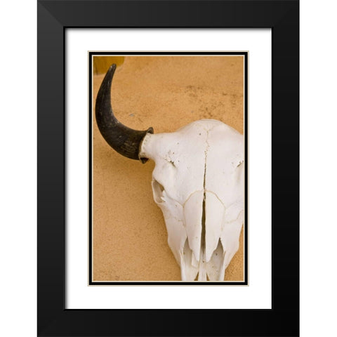 New Mexico, Santa Fe Animal skull on wall Black Modern Wood Framed Art Print with Double Matting by Ross, Nancy ,  Steve