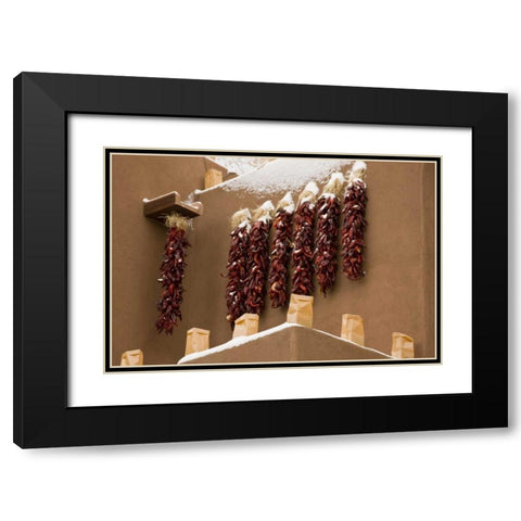 New Mexico, Santa Fe Chili pepper ristras Black Modern Wood Framed Art Print with Double Matting by Grall, Don