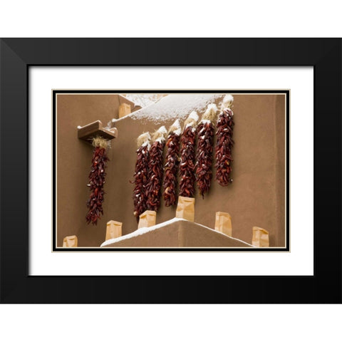 New Mexico, Santa Fe Chili pepper ristras Black Modern Wood Framed Art Print with Double Matting by Grall, Don