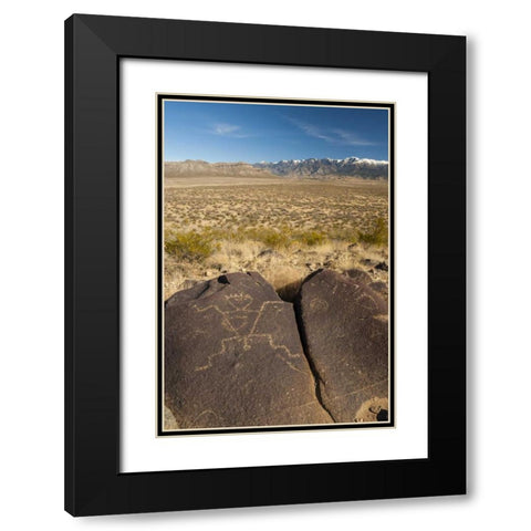 New Mexico, Three Rivers Petroglyph on rock Black Modern Wood Framed Art Print with Double Matting by Illg, Cathy and Gordon