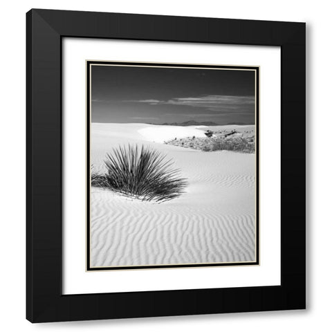 New Mexico, White Sands NM Bush in desert sand Black Modern Wood Framed Art Print with Double Matting by Flaherty, Dennis