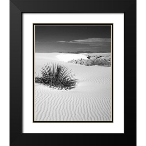 New Mexico, White Sands NM Bush in desert sand Black Modern Wood Framed Art Print with Double Matting by Flaherty, Dennis