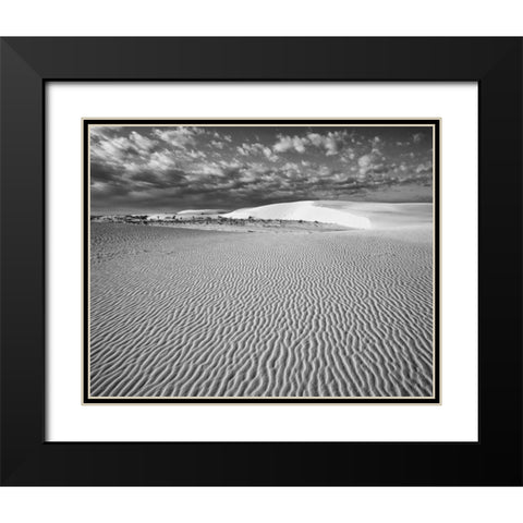 New Mexico, White Sands NM Desert landscape Black Modern Wood Framed Art Print with Double Matting by Flaherty, Dennis