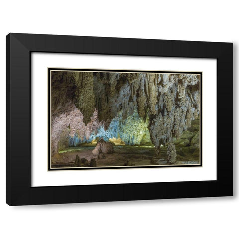 New Mexico, Carlsbad Caverns Scenic of cavern Black Modern Wood Framed Art Print with Double Matting by Paulson, Don