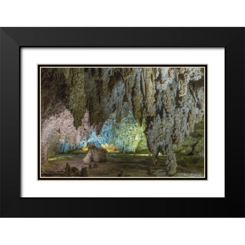 New Mexico, Carlsbad Caverns Scenic of cavern Black Modern Wood Framed Art Print with Double Matting by Paulson, Don