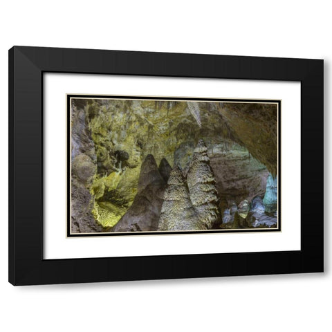 New Mexico, Carlsbad Caverns Scenic of cavern Black Modern Wood Framed Art Print with Double Matting by Paulson, Don
