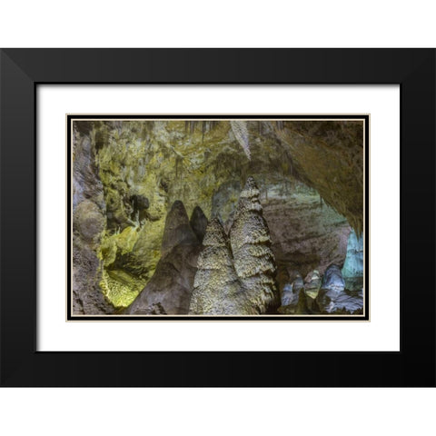 New Mexico, Carlsbad Caverns Scenic of cavern Black Modern Wood Framed Art Print with Double Matting by Paulson, Don