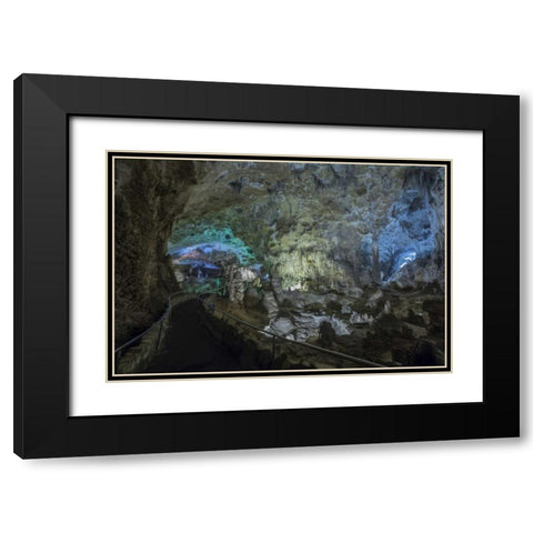 New Mexico, Carlsbad Caverns Scenic of cavern Black Modern Wood Framed Art Print with Double Matting by Paulson, Don