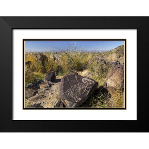 New Mexico, Three Rivers, Petroglyph on rock Black Modern Wood Framed Art Print with Double Matting by Paulson, Don