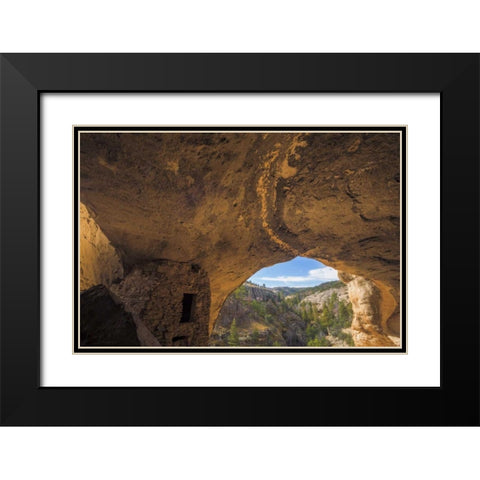 New Mexico, Gila Cliff Dwellings NM Inside ruins Black Modern Wood Framed Art Print with Double Matting by Paulson, Don