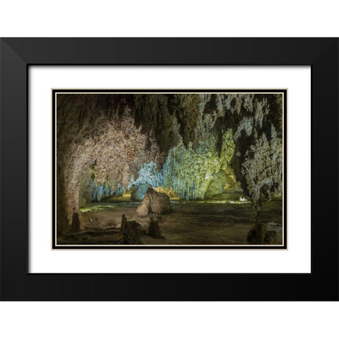 New Mexico, Carlsbad Caverns Scenic of cavern Black Modern Wood Framed Art Print with Double Matting by Paulson, Don