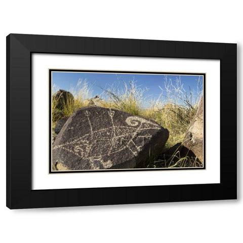 New Mexico, Three Rivers, Petroglyph on rock Black Modern Wood Framed Art Print with Double Matting by Paulson, Don