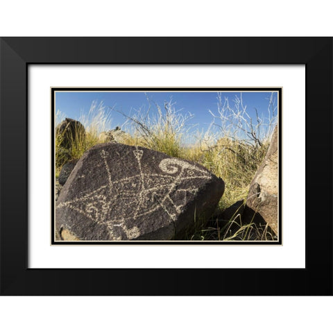 New Mexico, Three Rivers, Petroglyph on rock Black Modern Wood Framed Art Print with Double Matting by Paulson, Don