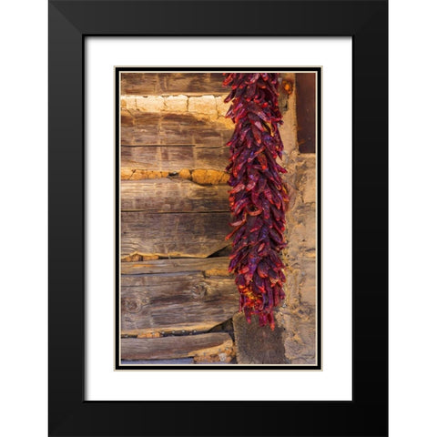 USA, New Mexico, Pinos Altos Ristas hung to dry Black Modern Wood Framed Art Print with Double Matting by Paulson, Don