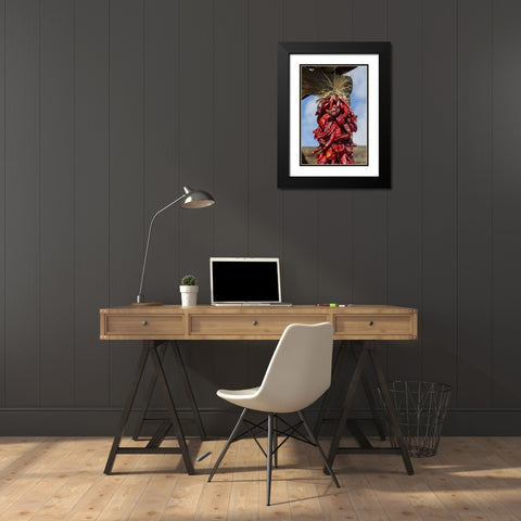 USA, New Mexico, Pinos Altos Ristas hung to dry Black Modern Wood Framed Art Print with Double Matting by Paulson, Don