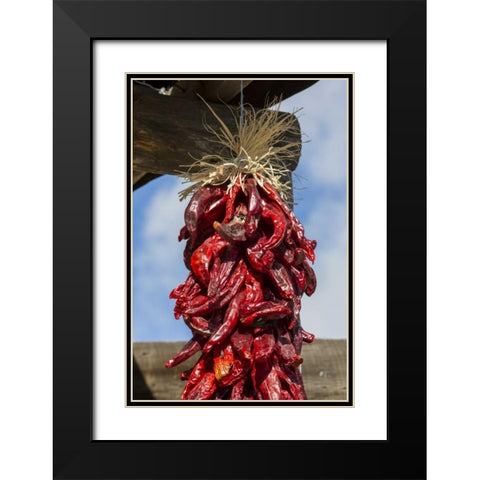 USA, New Mexico, Pinos Altos Ristas hung to dry Black Modern Wood Framed Art Print with Double Matting by Paulson, Don