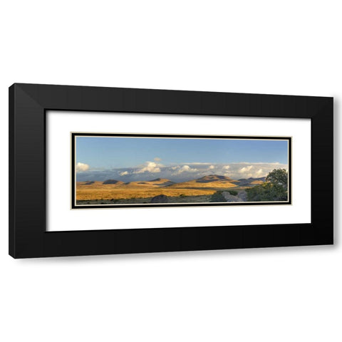 New Mexico, City of Rocks SP Panoramic composite Black Modern Wood Framed Art Print with Double Matting by Paulson, Don