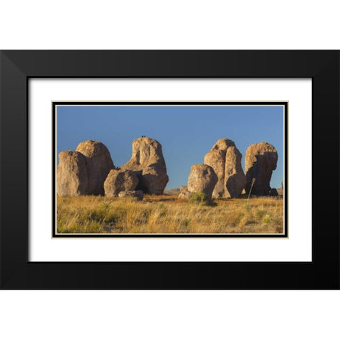 New Mexico, City of Rocks SP Ravens on a boulder Black Modern Wood Framed Art Print with Double Matting by Paulson, Don
