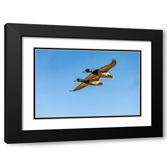 Perspective Image