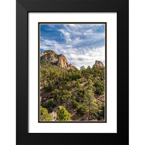 USA-New Mexico-Sandia Mountains-Mountain and forest landscape Black Modern Wood Framed Art Print with Double Matting by Jaynes Gallery