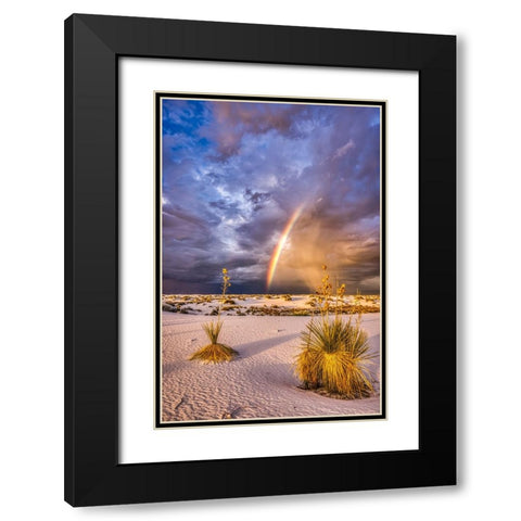 USA-New Mexico-White Sands National Park Thunderstorm rainbow over desert Black Modern Wood Framed Art Print with Double Matting by Jaynes Gallery