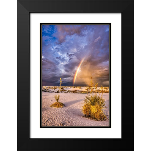 USA-New Mexico-White Sands National Park Thunderstorm rainbow over desert Black Modern Wood Framed Art Print with Double Matting by Jaynes Gallery