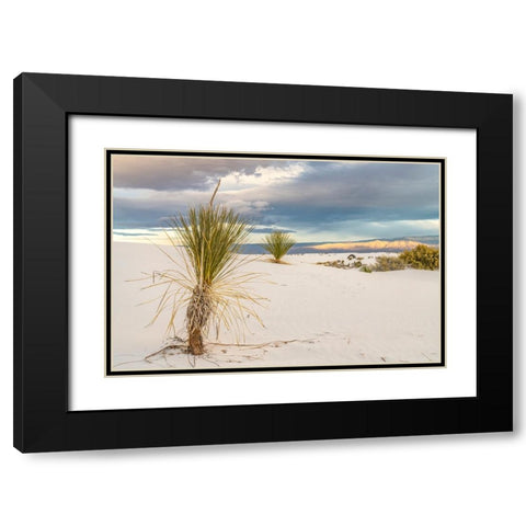 USA- New Mexico- White Sands National Monument. Sand dunes and yucca cacti. Black Modern Wood Framed Art Print with Double Matting by Jaynes Gallery