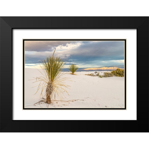USA- New Mexico- White Sands National Monument. Sand dunes and yucca cacti. Black Modern Wood Framed Art Print with Double Matting by Jaynes Gallery