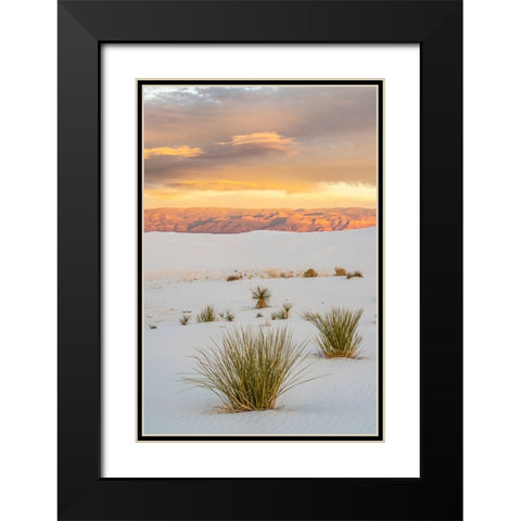 USA- New Mexico- White Sands National Monument. Clouds over sand dunes and yucca cactus. Black Modern Wood Framed Art Print with Double Matting by Jaynes Gallery