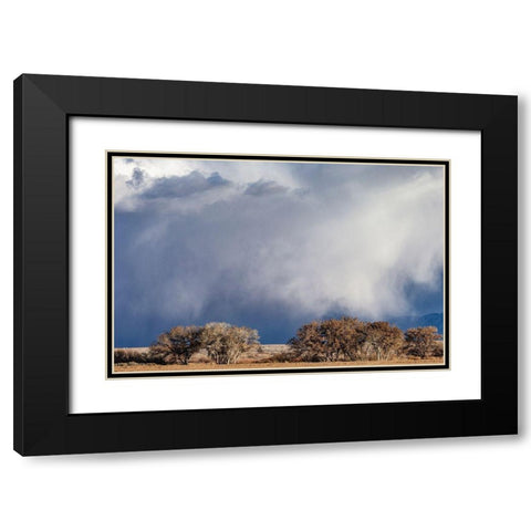 Winter storms in the Manzano mountains-New Mexico Black Modern Wood Framed Art Print with Double Matting by Pryor, Maresa