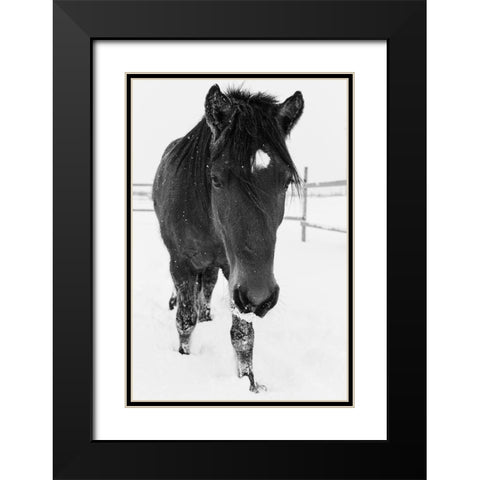 Dakotas first winter-Edgewood-New Mexico Black Modern Wood Framed Art Print with Double Matting by Pryor, Maresa