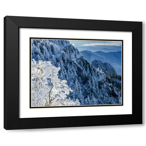 Snow ice crystals blowing off tree-Sandia Mountain Wilderness-New Mexico Black Modern Wood Framed Art Print with Double Matting by Pryor, Maresa