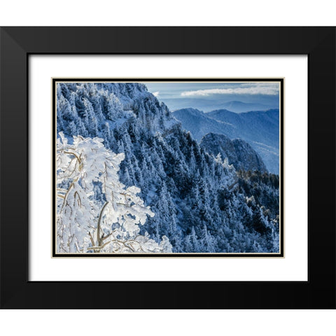 Snow ice crystals blowing off tree-Sandia Mountain Wilderness-New Mexico Black Modern Wood Framed Art Print with Double Matting by Pryor, Maresa