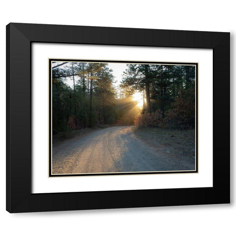 Forest Roads at sunrise-Manzano Mountain Wilderness-Cibola National Forest-New Mexico Black Modern Wood Framed Art Print with Double Matting by Pryor, Maresa