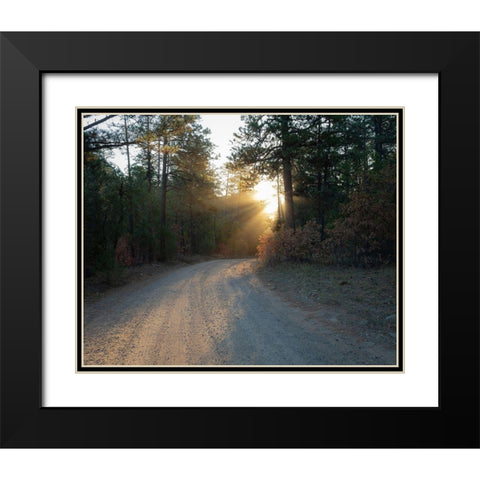 Forest Roads at sunrise-Manzano Mountain Wilderness-Cibola National Forest-New Mexico Black Modern Wood Framed Art Print with Double Matting by Pryor, Maresa