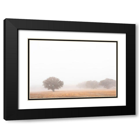 Tree in fog-Bosque del Apache National Wildlife Refuge-New Mexico Black Modern Wood Framed Art Print with Double Matting by Pryor, Maresa
