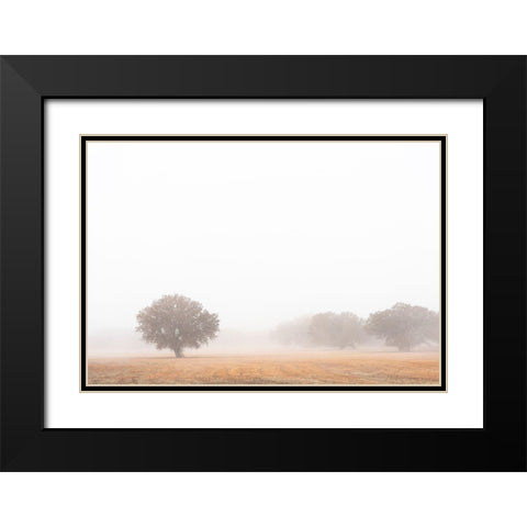 Tree in fog-Bosque del Apache National Wildlife Refuge-New Mexico Black Modern Wood Framed Art Print with Double Matting by Pryor, Maresa