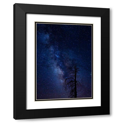 Milky way over the Carson National Forest-Tres Piedras-New Mexico Black Modern Wood Framed Art Print with Double Matting by Pryor-Luzier, Maresa