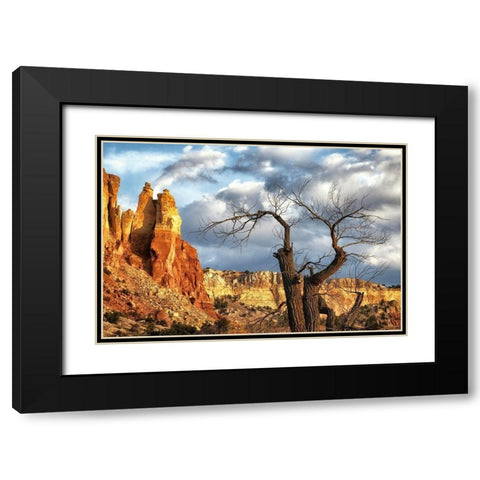 Dead tree and Fall Colors in New Mexico-USA Black Modern Wood Framed Art Print with Double Matting by Norring, Tom