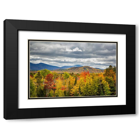 USA-New York-Adirondacks Indian Lake-Fall color at overlook along Route 28 Black Modern Wood Framed Art Print with Double Matting by Collins, Ann