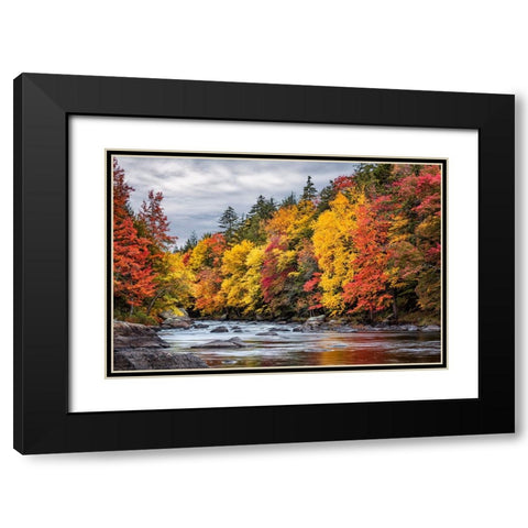 USA-New York-Adirondacks Long Lake-autumn color along the Raquette River Black Modern Wood Framed Art Print with Double Matting by Collins, Ann
