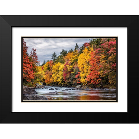 USA-New York-Adirondacks Long Lake-autumn color along the Raquette River Black Modern Wood Framed Art Print with Double Matting by Collins, Ann