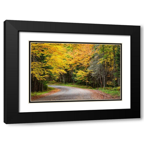 USA-New York-Adirondacks Long Lake-foliage-covered road to Forked Lake Black Modern Wood Framed Art Print with Double Matting by Collins, Ann