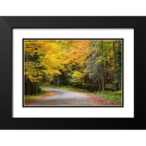 USA-New York-Adirondacks Long Lake-foliage-covered road to Forked Lake Black Modern Wood Framed Art Print with Double Matting by Collins, Ann