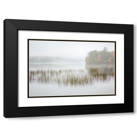 USA-New York-Adirondacks Long Lake-foggy morning-reeds-and loon on Eaton Lake Black Modern Wood Framed Art Print with Double Matting by Collins, Ann